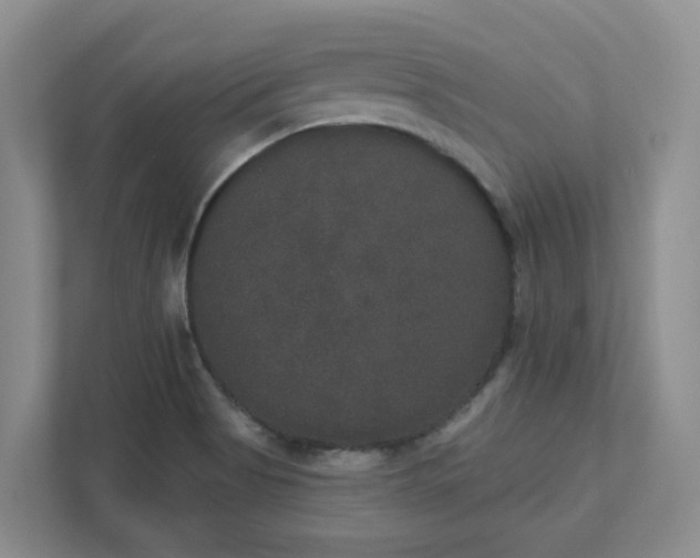 X0000111521513200907211213