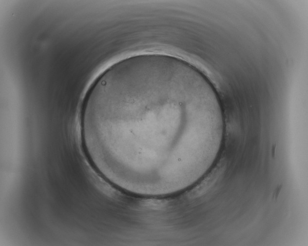 X0000111521514200907211213