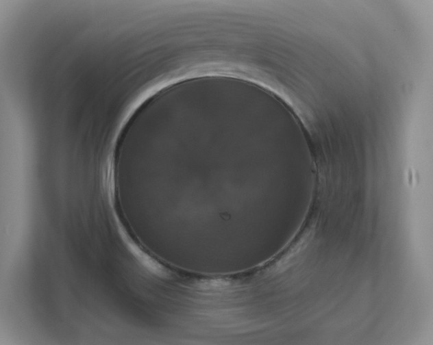 X0000111521515200907211213