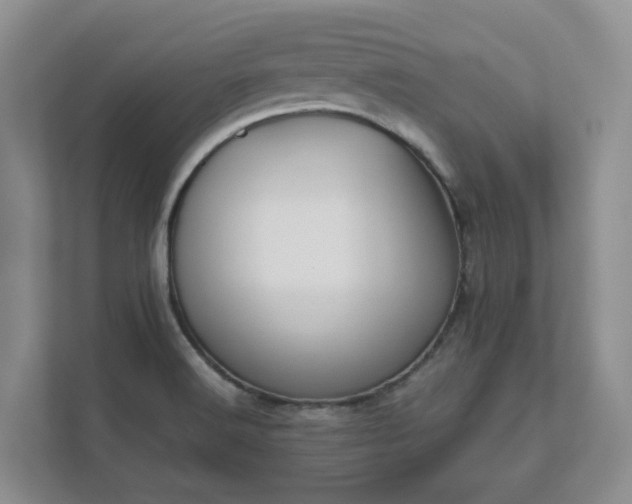 X0000111521516200907211213