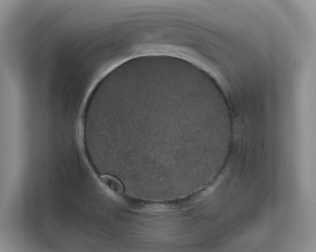 X0000111521517200907211213