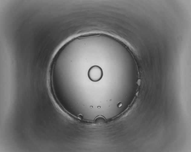 X0000111521518200907211213