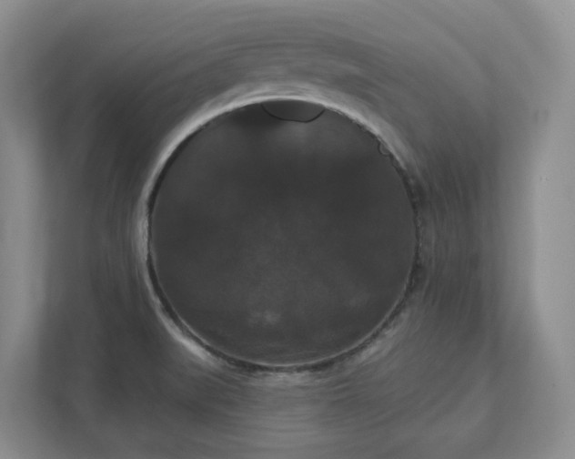 X0000111521519200907211214