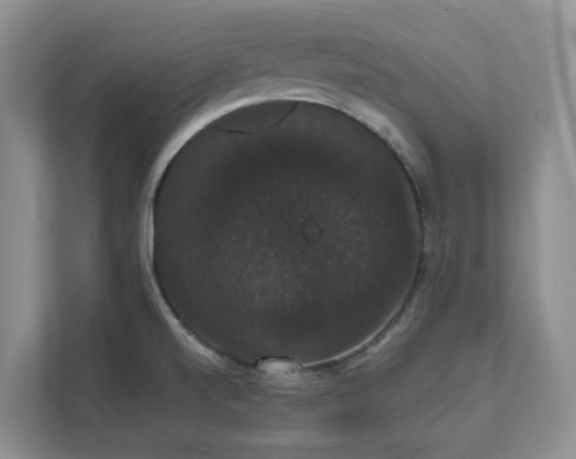 X0000111521520200907211214
