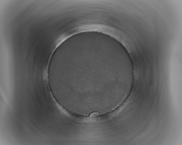 X0000111521521200907211214