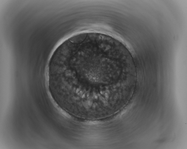 X0000111521522200907211214