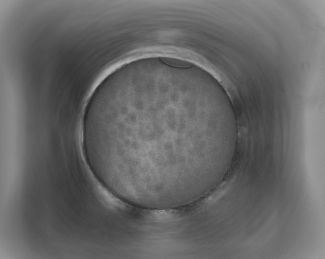 X0000111521523200907211214