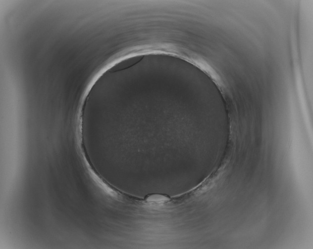 X0000111521524200907211214