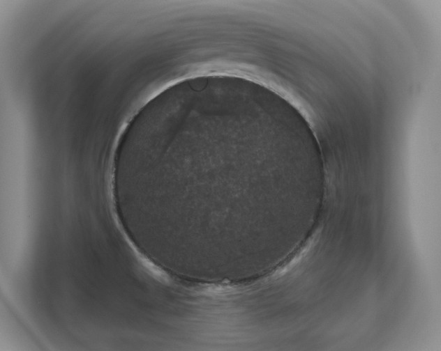 X0000111521525200907211214