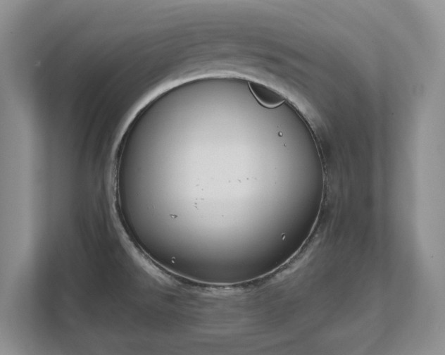 X0000111521526200907211214