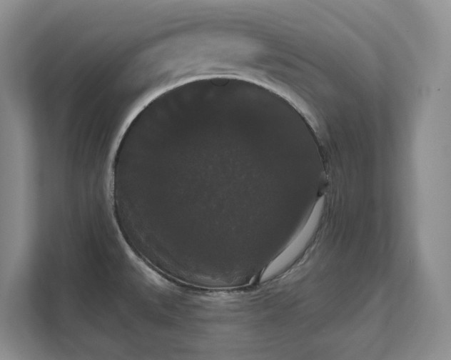 X0000111521527200907211214