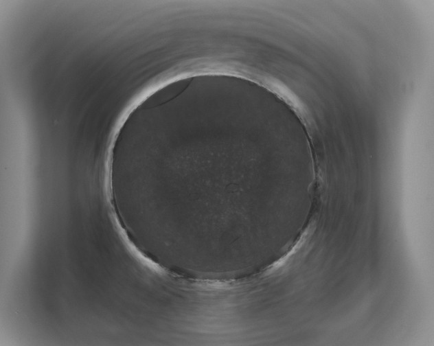 X0000111521528200907211214