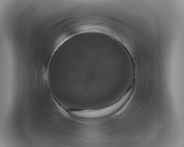 X0000111521529200907211214