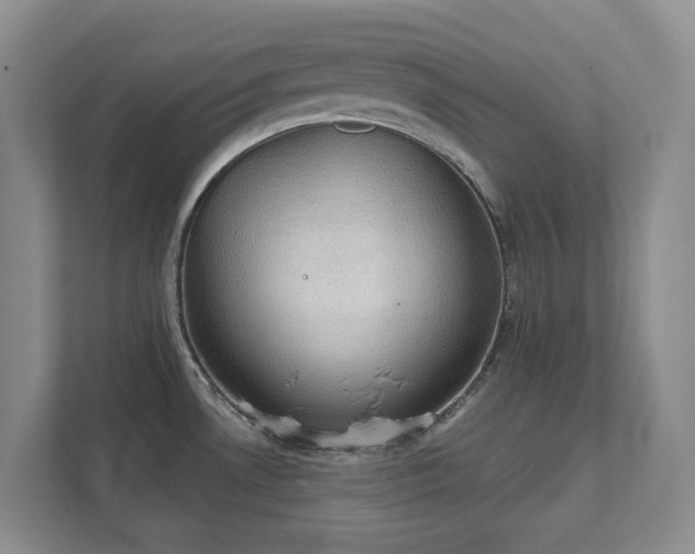 X0000111521530200907211214