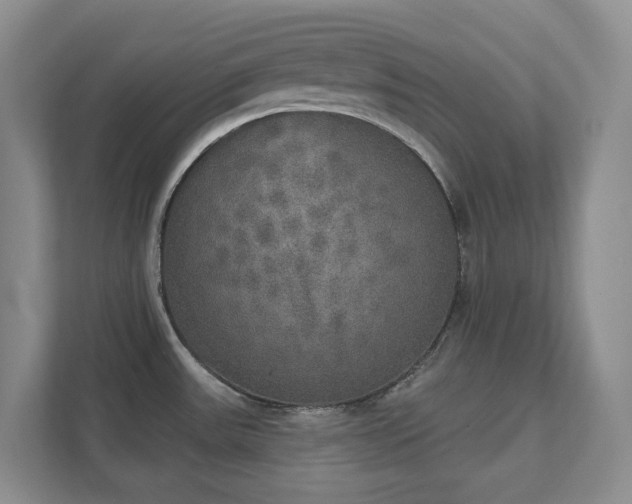 X0000111521531200907211214