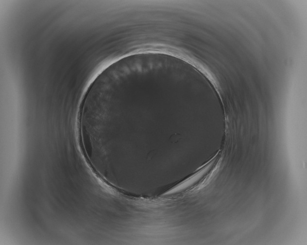 X0000111521533200907211214