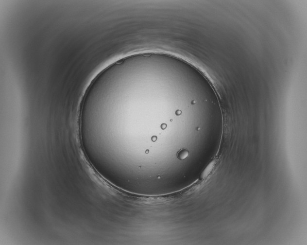 X0000111521534200907211214