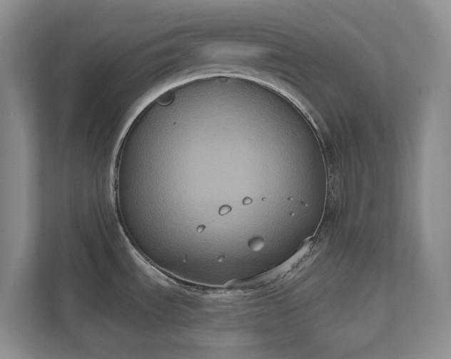 X0000111521535200907211214