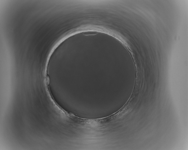 X0000111521536200907211214