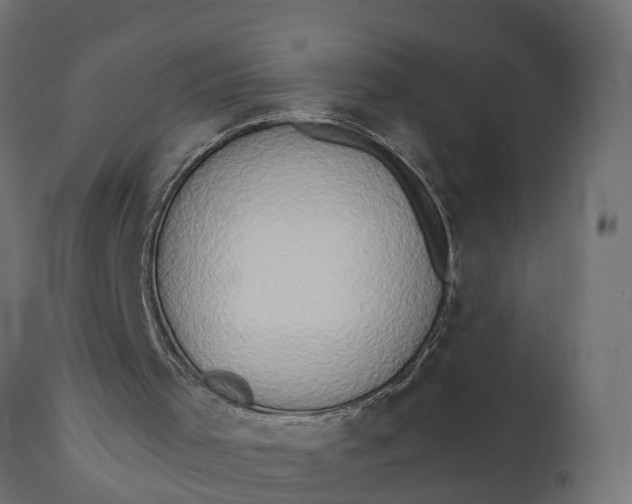 X0000111520001200907281350