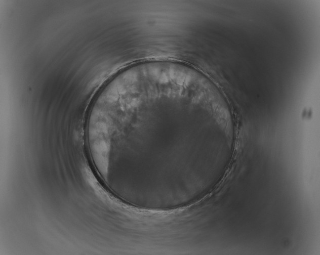 X0000111520002200907281350