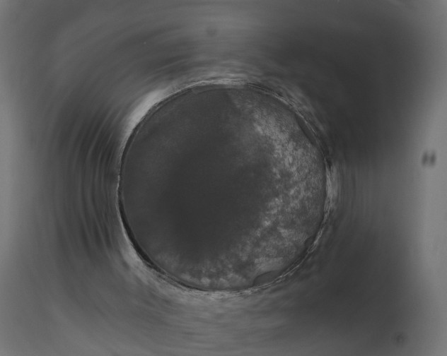 X0000111520003200907281350