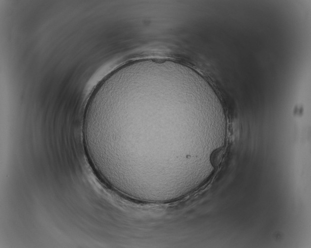 X0000111520004200907281350
