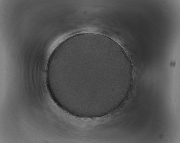 X0000111520007200907281349