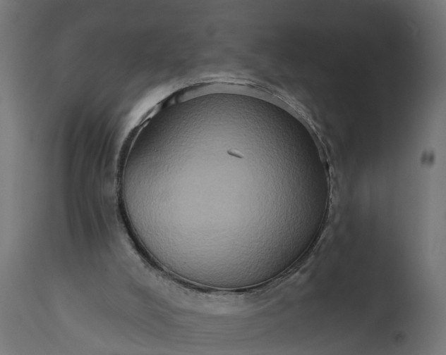 X0000111520008200907281349