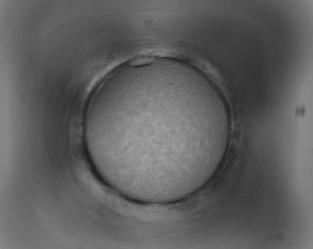 X0000111520012200907281349