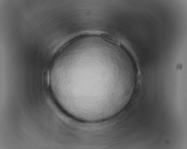 X0000111520013200907281349