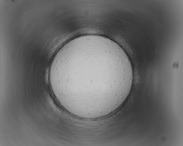 X0000111520014200907281349