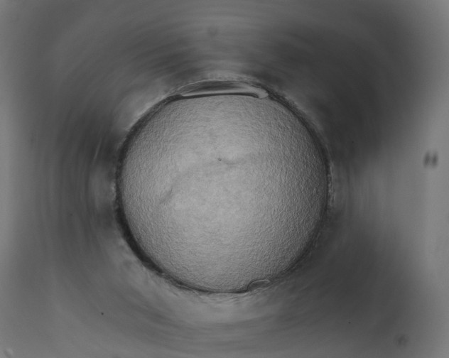 X0000111520015200907281349