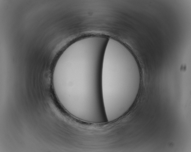 X0000111520016200907281349
