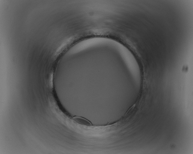 X0000111520019200907281349