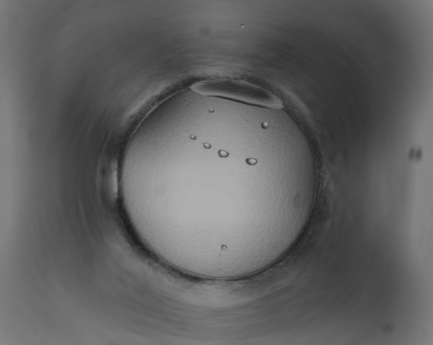 X0000111520020200907281349