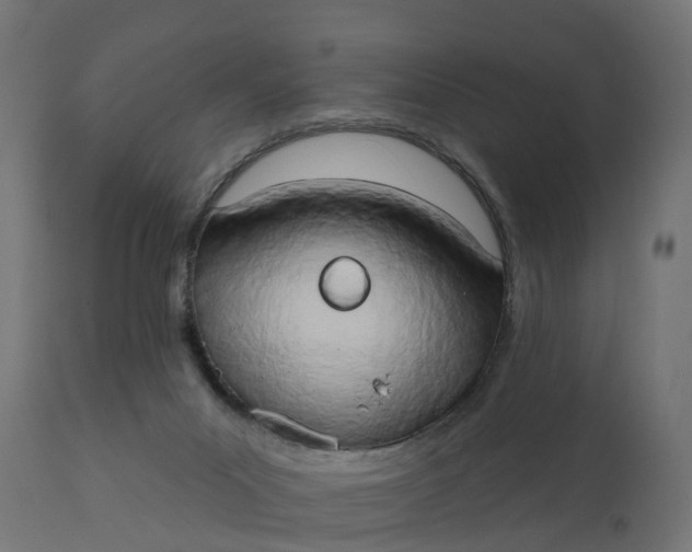 X0000111520023200907281349