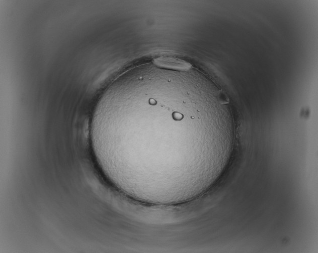 X0000111520024200907281349