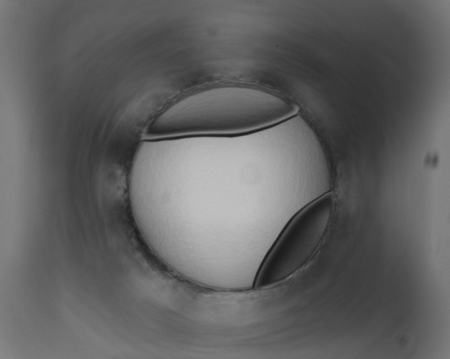 X0000111520025200907281349