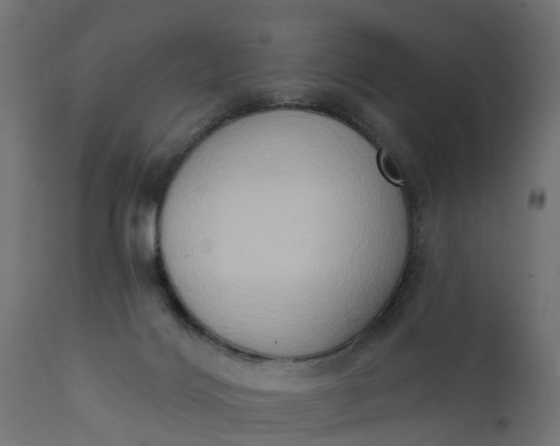 X0000111520028200907281349