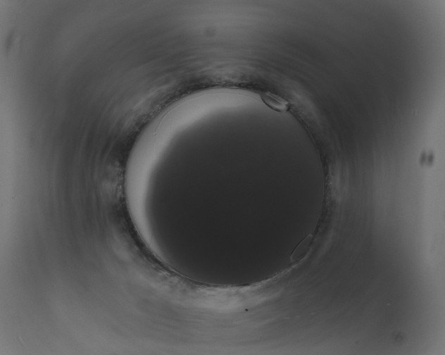 X0000111520029200907281349