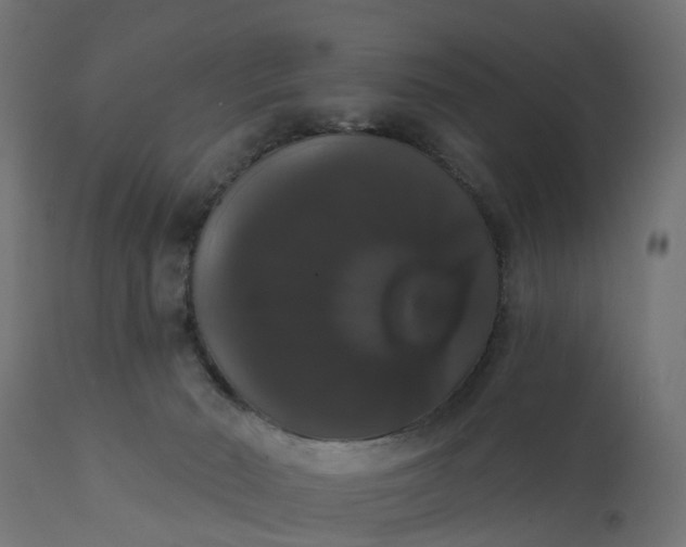 X0000111520030200907281349