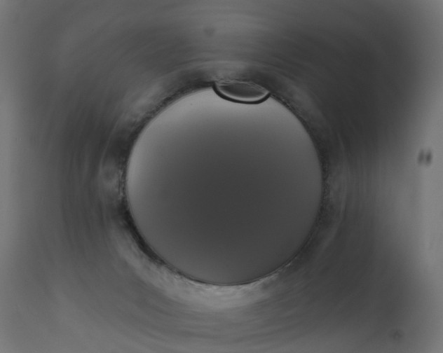 X0000111520031200907281349