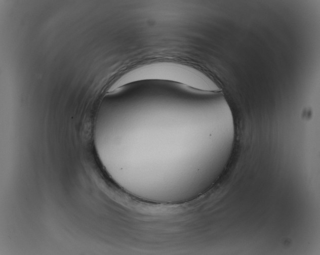 X0000111520036200907281349