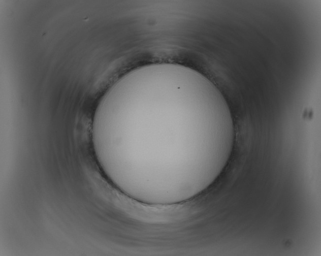 X0000111520038200907281349