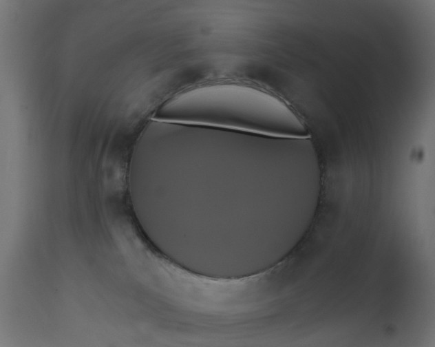 X0000111520039200907281349