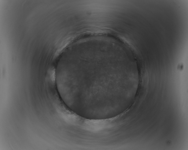 X0000111520041200907281349