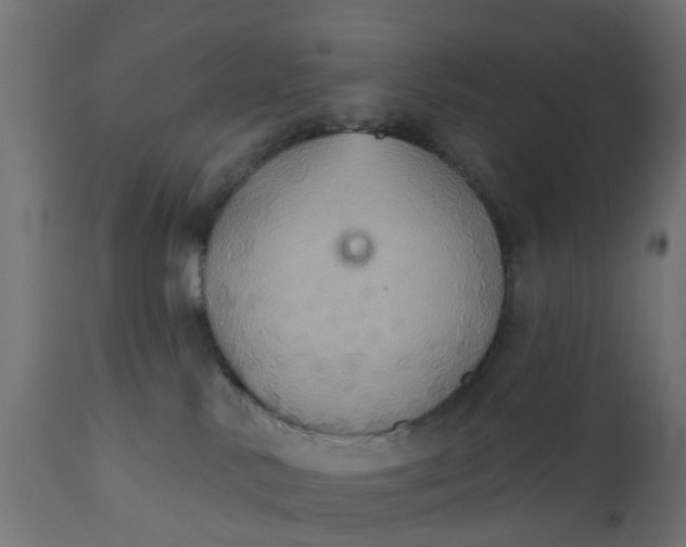 X0000111520042200907281349