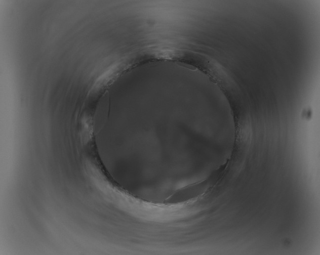 X0000111520043200907281349