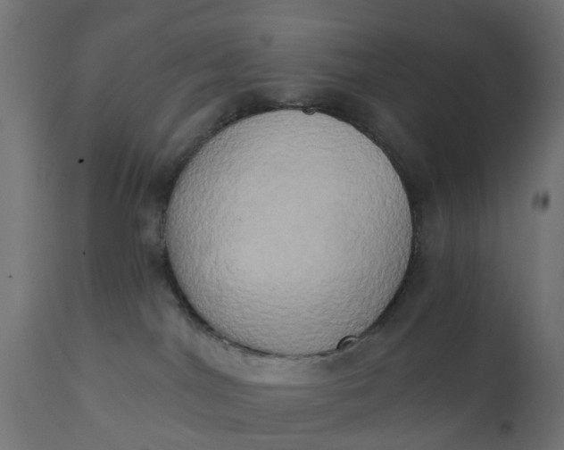X0000111520044200907281349